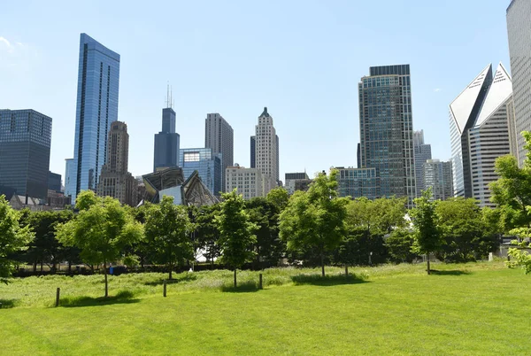 Centro Chicago Vista Desde Grant Park —  Fotos de Stock