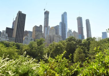 Central Park ve New York içinde gökdelenler