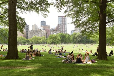 New York, ABD - 26 Mayıs 2018: İnsanlar rahatlamak koyun çayırda Central Park ve gökdelenler arka plan, Manhattan'ın üzerinde.