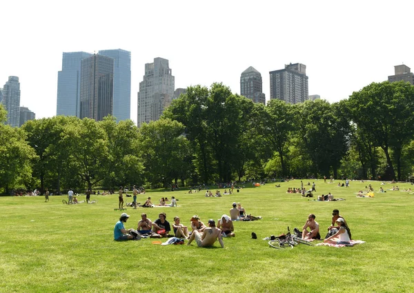 New York, Amerika Birleşik Devletleri - 25 Mayıs 2018: İnsanlar rahatlamak koyun çayırda Central Park ve gökdelenler arka plan, Manhattan'ın üzerinde.