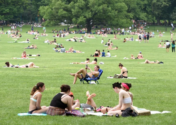 New York, ABD - 26 Mayıs 2018: İnsanlar New York'taki Central Park'ta çayır üzerinde sakin ol.