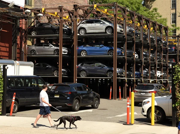 New York Verenigde Staten Mei 2018 Voetganger Met Hond Buurt — Stockfoto