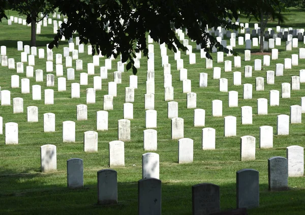Washington Juni 2018 Arlington National Cemetery — Stockfoto
