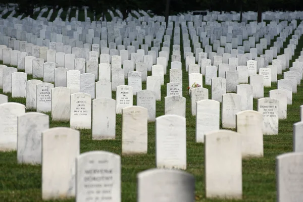 Washington Junho 2018 Arlington National Cemetery — Fotografia de Stock