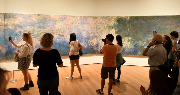 New York Usa Maggio 2018 Visitatore Guarda Dipinto Claude Monet — Foto Stock