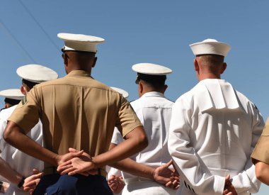 US Navy sailors from the back. US Navy army. clipart