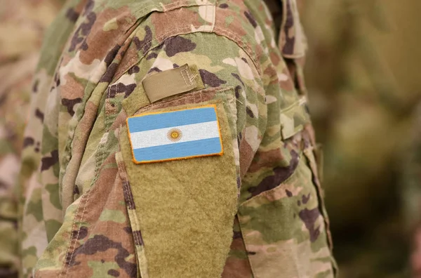 Прапор Аргентини Arm Солдатів Війська Аргентини Колаж — стокове фото