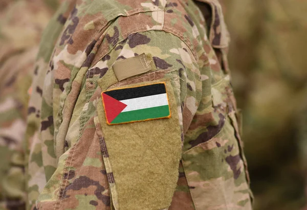 Κράτος Της Παλαιστίνης Σημαίας Στο Μπράτσο Στρατιώτες Κολάζ — Φωτογραφία Αρχείου