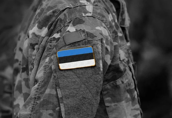 Bandera Estonia Brazo Soldados Collage — Foto de Stock