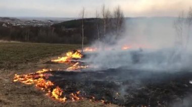 Orman yangını, orman yangını, alan yangın,
