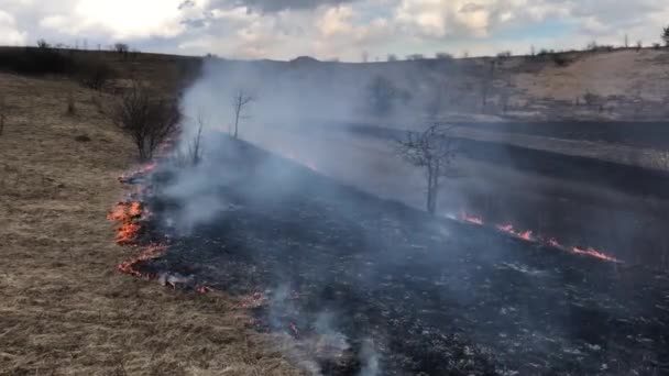 Лесной Пожар Лесной Пожар Полевой Пожар — стоковое видео