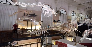 Monako - 23 Haziran 2019: Oşinografik Müzesi Ziyaretçileri 