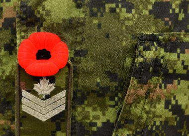 Kanada askeri üniformalı Red Poppy. Kanadalı askerler. Kanada Ordusu. Anma Günü. Gelincik günü. 