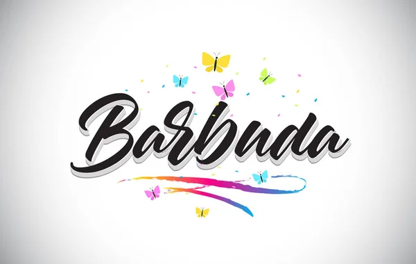 Barbuda Texto de palabra vectorial manuscrito con mariposas y colorf — Vector de stock