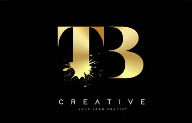 TB T B harf logosu ile altın erimiş metal Splash vektör tasarım.