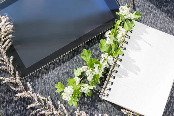 Tábla és a különböző növények díszített notebook — Stock Fotó