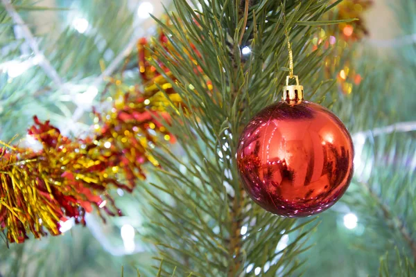 Noel dekorasyon arka plan. Kırmızı cam top ve spangle süslü çam ağacı üzerinde closeup