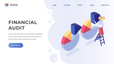 Finansal denetim açılış sayfası illüstrasyon