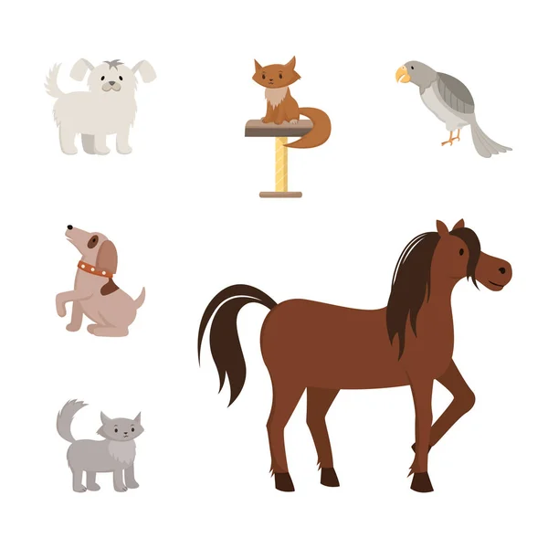Husdjur Lägenhet vektor illustrationer uppsättning. Tecknad leksak hundar, renrasiga husdjur, mongrel katter, valpar. Exotisk fågel, grå papegoja och stark häst, hingst, sto med vacker Mane hår — Stock vektor