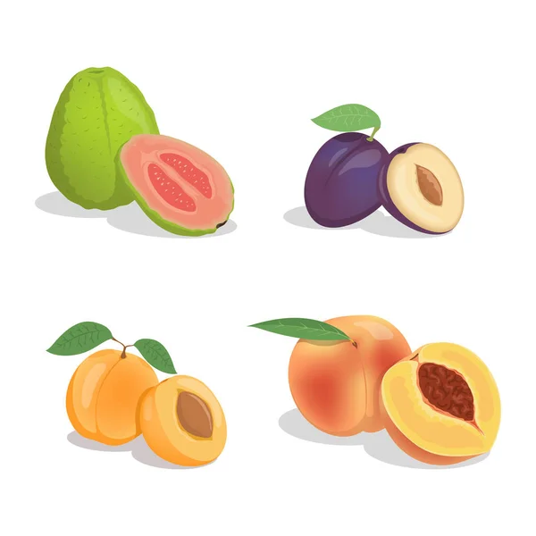 番石榴、李子、杏子和桃向量卡通画分离于白色背景. — 图库矢量图片
