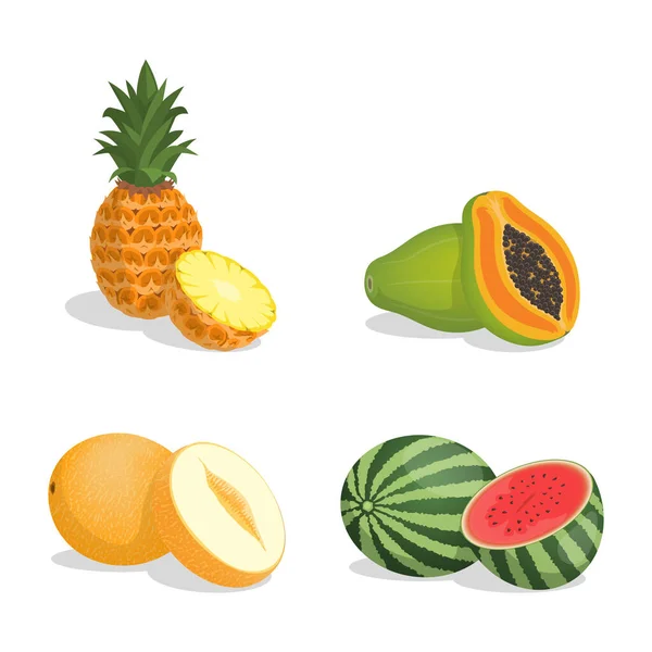 Ilustración de dibujos animados vectoriales de piña, papaya, melón y sandía aislados sobre fondo blanco. — Archivo Imágenes Vectoriales