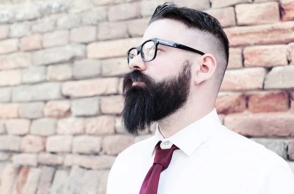 Bonito Homem Inteligente Com Barba Longa Conceito Negócio Retrato — Fotografia de Stock