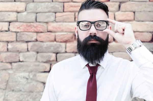 Handsome Smart Man Long Beard Business Concept Portrait — Stock Photo, Image