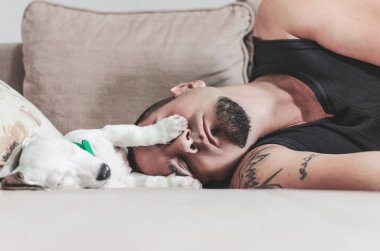 Jack Russel kanepede onun sahibi ile kestiriyor