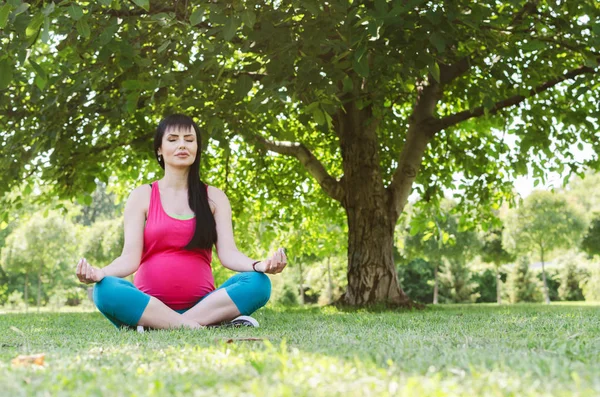 Молодая Беременная Женщина Медитирует Природе Практикует Йогу Забота Здоровье Беременности — стоковое фото