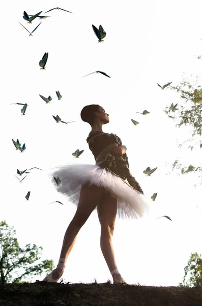 Όμορφη Νεαρή Μπαλαρίνα Θέτοντας Στη Φύση Που Περιβάλλεται Πεταλούδες — Φωτογραφία Αρχείου