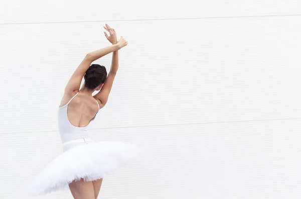 漂亮的芭蕾舞演员在白色的芭蕾舞短裙摆姿势 后视图 文本空间 — 图库照片