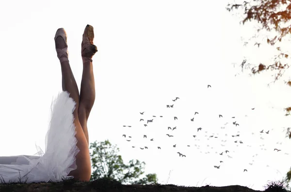 美丽的年轻芭蕾舞女演员的形象躺在悬崖上美丽的自然 她的腿 穿着白色的芭蕾舞短裙 — 图库照片