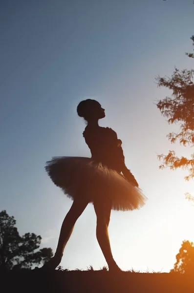 Foto Vertical Silhueta Bailarina Pôr Sol Natureza — Fotografia de Stock