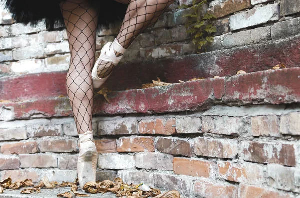 Nahaufnahme Der Beine Der Ballerina Sie Trägt Spitzenschuhe Raum Für — Stockfoto