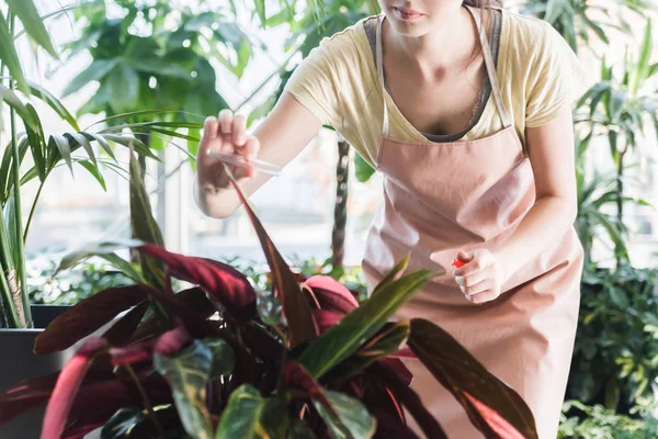 Vista Recortada Investigadora Femenina Plantas Poniendo Suplemento Herbal — Foto de Stock