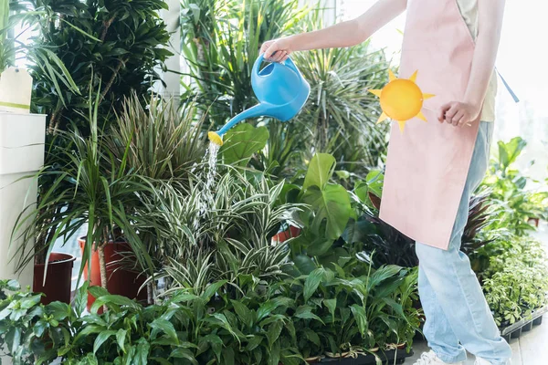 Primer Plano Floristería Femenina Regando Plantas Invernadero Botánico —  Fotos de Stock