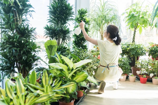 Mujer Joven Jardinero Plantas Riego Con Rociador Invernadero — Foto de Stock