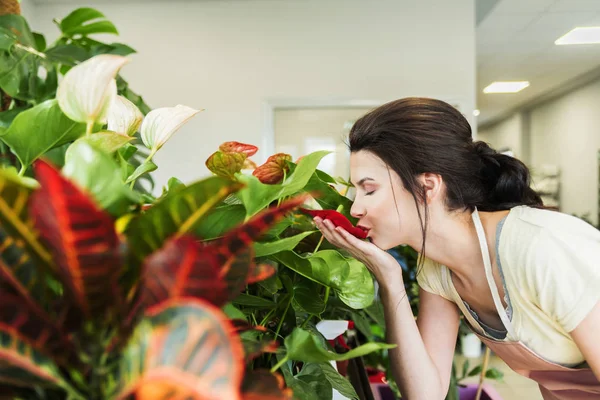 Florist kissing red flower petal in botanical garden