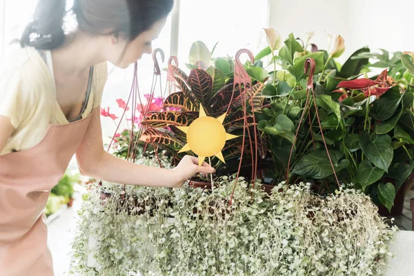 Joven Florista Trabajadora Decorar Las Plantas Con Accesorios Sol Invernadero — Foto de Stock