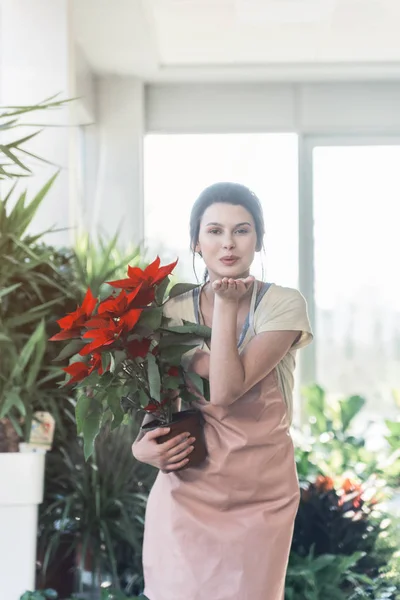 Pretty Young Woman Florist Carrying Gorgeous Bouquet Beautiful Red Flowers — Stock Photo, Image