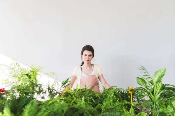 Beautiful Young Cheerful Plants Enthusiast Working Learning Botanical Garden — Stock Photo, Image