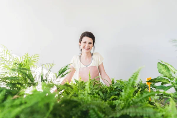 Beautiful Young Cheerful Plants Enthusiast Working Learning Botanical Garden — Stock Photo, Image