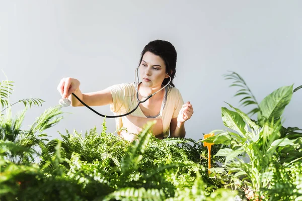 若いプロ女性花屋植物園で聴診器で緑の葉を検査 — ストック写真