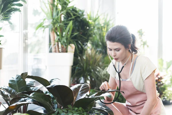 Unga Professionella Kvinnliga Florist Inspektera Gröna Blad Med Stetoskop Botaniska — Stockfoto