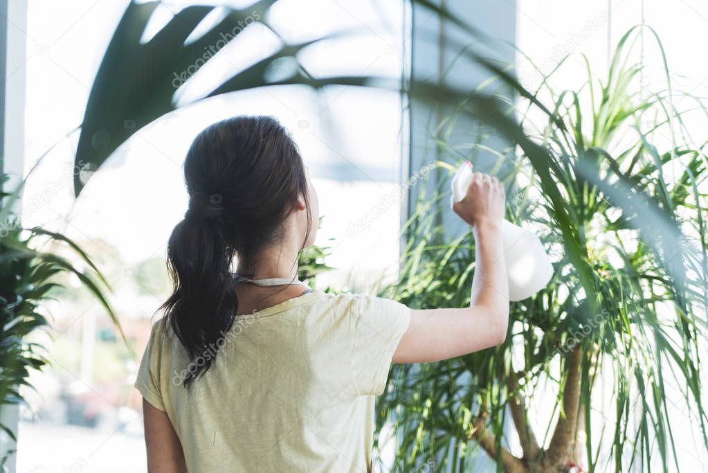 young woman gardener in watering plants with sprayer in greenhouse 