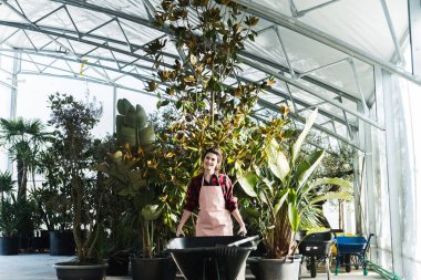 çalışkan çiçekçi kadın holding sepeti içinde güzel parlak Sera Bahçe aletleri ile