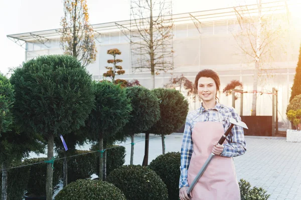 Alegre Jardinero Femenino Trabajador Sosteniendo Pala Mientras Trabaja Árboles Decorativos — Foto de Stock