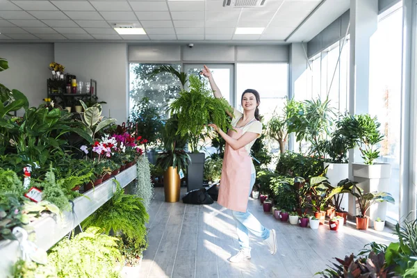 Joven Florista Femenina Arreglando Plantas Ordenando Floristería — Foto de Stock