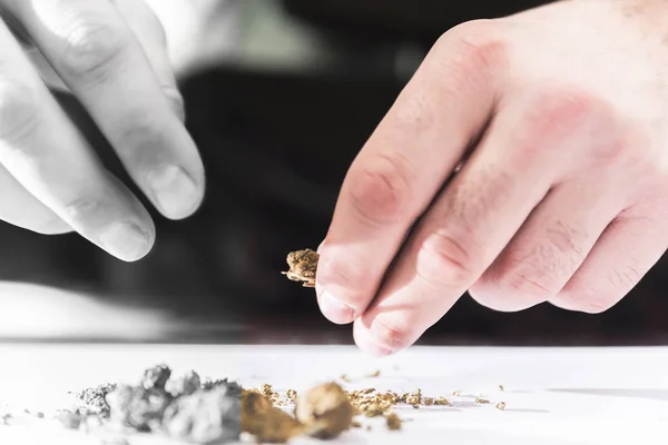 Close Dedos Masculinos Esmagando Folhas Secas Maconha — Fotografia de Stock