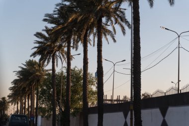 Irak, Bağdat - 15 Temmuz 2019: Bağdat palmiye ağaçları gün batımında arka planda 
